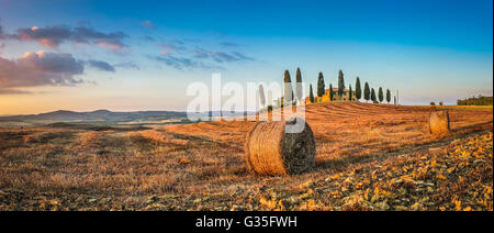 Panoramic view of Tuscany landscape with traditional farm house and hay bales in golden evening light, Val d'Orcia, Italy Stock Photo
