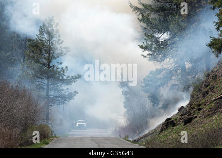 U.S. Forest Service crew monitoring a controlled burn in Oregon's Ochoco Mountains. Stock Photo