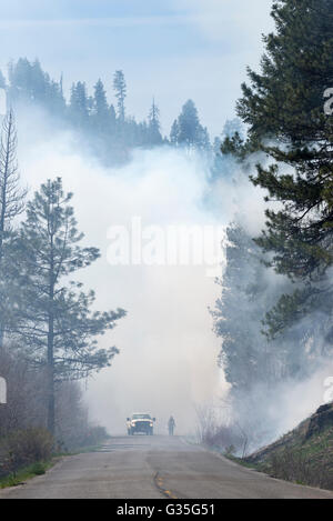 U.S. Forest Service crew monitoring a controlled burn in Oregon's Ochoco Mountains. Stock Photo