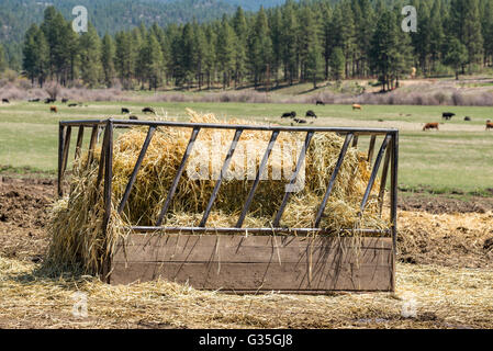 Bin of hay on a ranch in Oregon's Ochoco Mountains.