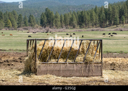 Bin of hay on a ranch in Oregon's Ochoco Mountains.