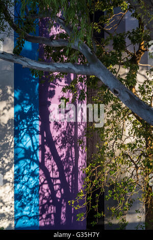 Shadows on colourful Museum of Contemporary Art, Rosario, Santa Fe province, Argentina Stock Photo