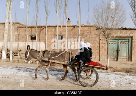 CHINA province Xinjiang, prefecture Kaxgar, Shufu County, uighur town Upal at Karakoram highway, winter time, poplar trees, women with donkey cart Stock Photo