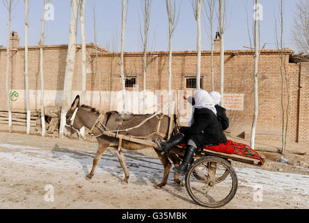 CHINA province Xinjiang, prefecture Kaxgar, Shufu County, uighur town Upal at Karakoram highway, winter time, poplar trees Stock Photo