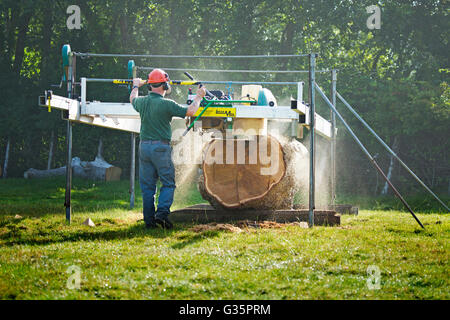 Sawing up an Oak tree trunk with mobile sawmill Stock Photo