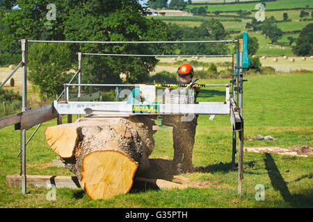 Sawing up an Oak tree trunk with mobile sawmill Stock Photo