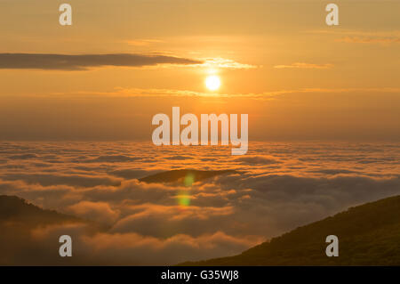 The sun rises over the valley below Shenandoah National Park and casts a warm glow of light onto the fog that lay below Stock Photo