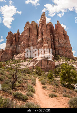 Elephant Hill/Chesler Park Trail leading towards the fins in a red rock formation, in the Needles District of Canyonlands Nation Stock Photo