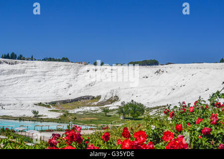 Turkey, Pamukkale, travel, amazing view, white, mineral bath, pink flowers, blue water, hot springs, landscape, wallpaper Stock Photo