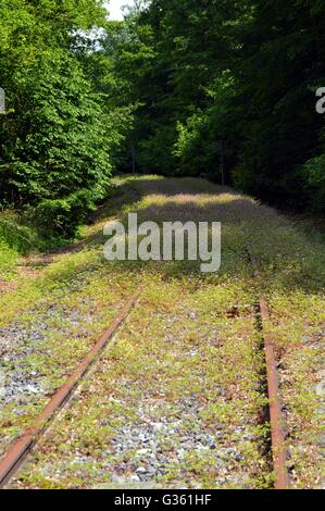 Abandoned railroad track taking off through the forest Stock Photo