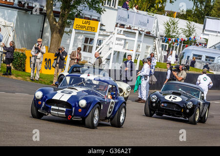 The Shelby Cobra Daytona Coupe Parade at the 2015 Goodwood Revival, Sussex, UK. Stock Photo