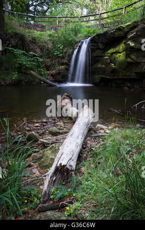 Blow Gill lies at the roadside on the Osmotherley to Hawnby road, approx 2 miles from Hawnby Stock Photo