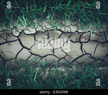 Background with gray dry crack ground and green grass. Nature background with vintage toning. Close-up Stock Photo