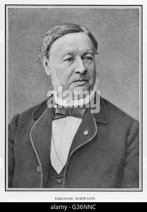 Theodor Schwann (1810-1882), German physiologist who made many contributions to biology and coined the term metabolism.          Date: circa 1880 Stock Photo
