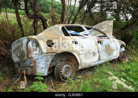 Burnt out car wreck in a ditch near Ashcott in rural Somerset, 8th June 2016 Stock Photo