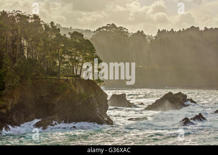 Russian Gulch State Park Stock Photo