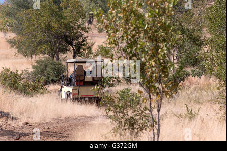 On a game drive in Hwange National park Zimbabwe Stock Photo