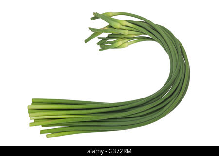 Stalks of garlic scapes isolated on white background Stock Photo