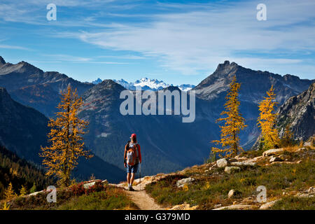 WA12721-00...WASHINGTON - Hiker descending from Cutthroat Pass to Rainy Pass on the Pacific Crest Trail. Stock Photo