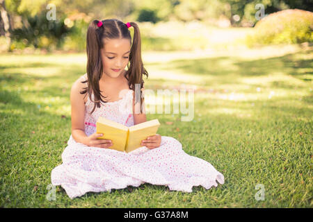 Young girl reading book in park Stock Photo