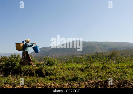 Asia, Myanmar, Loimwe.  Woman walks to bring clothes to wash at the river. Stock Photo