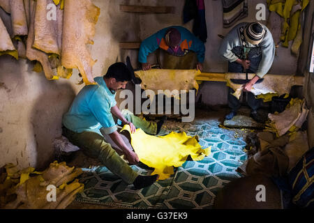 Fez, Morocco - April 11, 2016: Tree man working in a tannery in the city of Fez in Morocco. Stock Photo