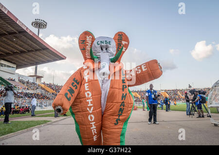 Supporters Of Ivory Coast s National Football Team Les l phants The