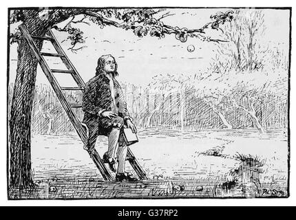 Pin Isaac Newton Clipart - Isaac Newton Drawing Cartoon - Free Transparent  PNG Clipart Images Download