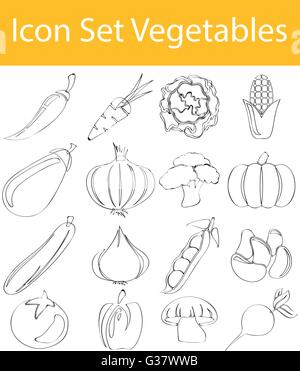 Drawn Doodle Lined Icon Set Vegetables with 16 icons for the creative use in graphic design Stock Vector