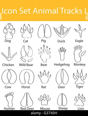 Drawn Doodle Lined Icon Set Animal Tracks I with 20 icons for the creative use in graphic design Stock Vector