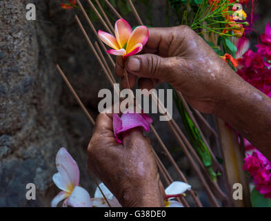 Salvadoran Woman decorates palm fronds with flowers during the Flower & Palm Festival in El Salvador Stock Photo