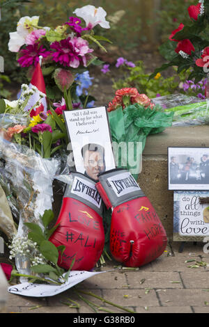 Louisville, KY, USA. 5th June, 2016. Legendary heavyweight boxing champion Muhammad Ali, a Louisville, Ky. native, died Friday, June 3, 2016. Murals and tributes could be seen across his hometown as people mourned the charismatic sports figure. © Jonathan Palmer/ZUMA Wire/Alamy Live News Stock Photo