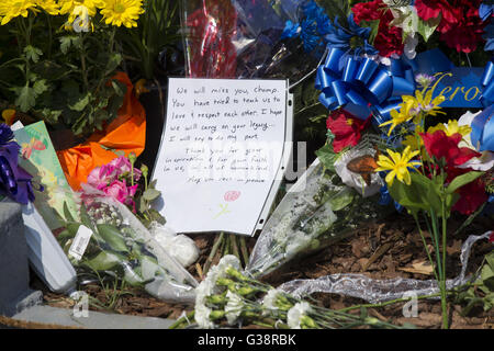 Louisville, KY, USA. 5th June, 2016. Legendary heavyweight boxing champion Muhammad Ali, a Louisville, Ky. native, died Friday, June 3, 2016. Murals and tributes could be seen across his hometown as people mourned the charismatic sports figure. © Jonathan Palmer/ZUMA Wire/Alamy Live News Stock Photo