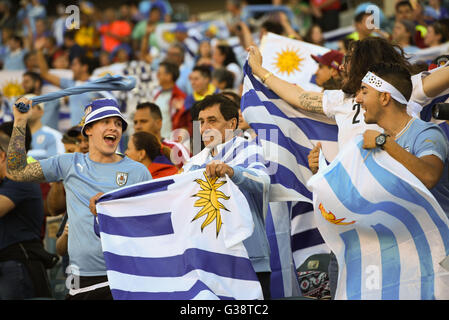 Philadelphia, Pennsylvania, USA. 9th June, 2016. Fans of Uruguay cheer on their team during the Copa America match held at Lincoln Financial Field in Philadelphia Pa Credit:  Ricky Fitchett/ZUMA Wire/Alamy Live News Stock Photo