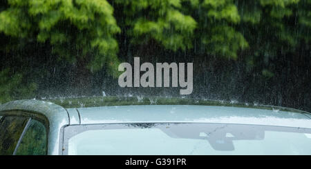 Sheffield, South Yorkshire, UK. 10th June, 2016. UK Weather: Torrential rain splashes off a car roof in Sheffield as South Yorkshire is subjected to heavy downpours. Credit:  Graham Dunn/Alamy Live News Stock Photo