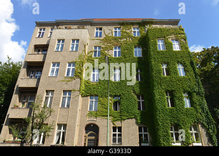 Fassadenbegruenung, Schoeneberg, Berlin, Deutschland / Schöneberg, Fassadenbegrünung Stock Photo