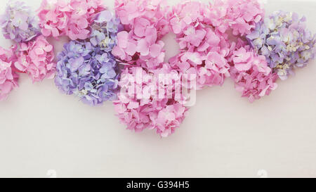 Fresh hydrangea flowers. Natural hydrangea flowers in a border on a rustic background. Top view, vintage toned image Stock Photo