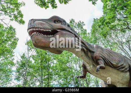 Tyrannosaurus Rex at Dinosaurs Alive Stock Photo