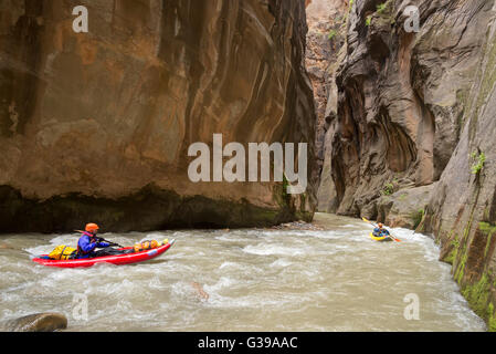 Paddling Zion Narrows in Zion National Park, Utah. Stock Photo