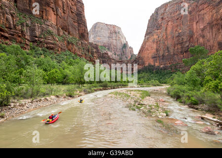 Paddling inflatable kayaks down the North Fork Virgin River in Zion National Park, Utah. Stock Photo