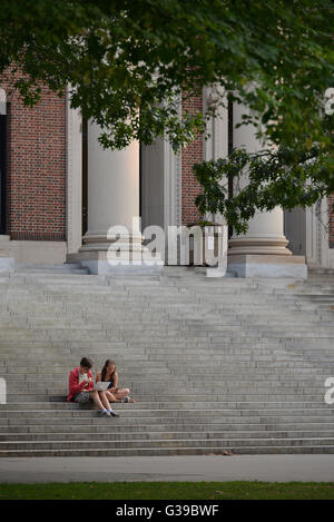 Bibliotheque, Harry Elkins Widener Memorial Library, Havard University, Cambridge, Massachusetts, USA Stock Photo