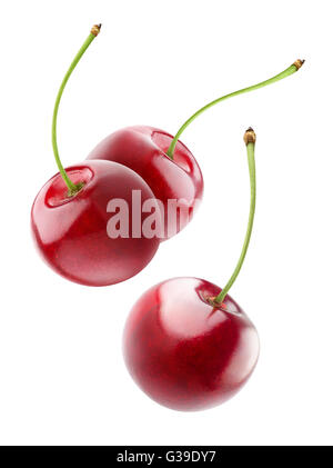 Isolated flying cherries. Three falling cherry fruits isolated on white background with clipping path Stock Photo
