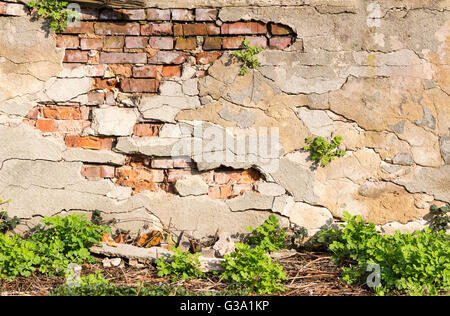 brick wall with chipped plaster and green grass Stock Photo