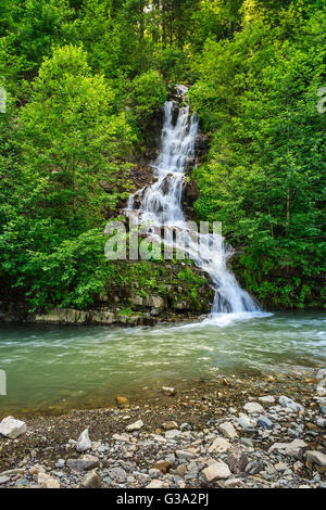 small waterfall coming out of the forest falls to a small mountain stream Stock Photo