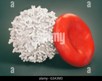 Healthy red and white Bloodcells - 3D Rendering Stock Photo