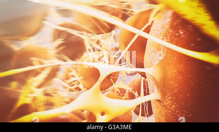 Neurons in the brain Stock Photo