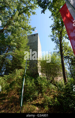 castle ruin Windegg, Austria, Oberösterreich, Upper Austria, Donau, Schwertberg Stock Photo