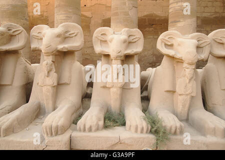 Ram headed Sphinx statues, entrance of Temples of Karnak, Luxor, Egypt Stock Photo