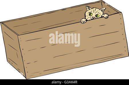 Hand drawn illustration of cute tabby kitten peeking from inside of wooden crate Stock Vector