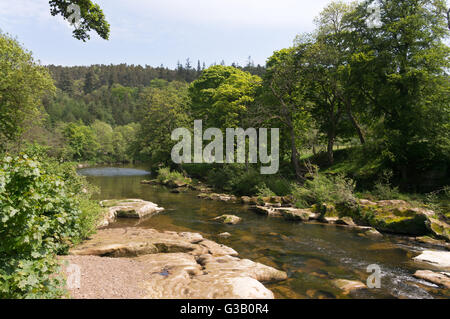 The river Coquet near Thrum Mill at Rothbury, Northumberland, England, UK Stock Photo